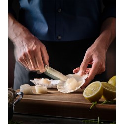 Cookbookstore- Wusthof - Σετ 3 Μαχαιριών Ikon