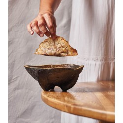 Cookbookstore - Montagud - Apicius 37 (November 2021)