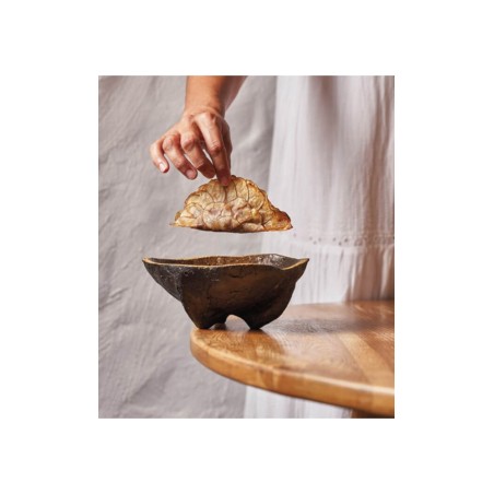 Cookbookstore - Montagud - Apicius 37 (November 2021)