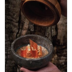 Cookbookstore - Montagud - Apicius 37 (November 2021)