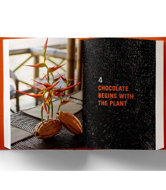 Casa Cacao: The Journey back to the Source of Chocolate
