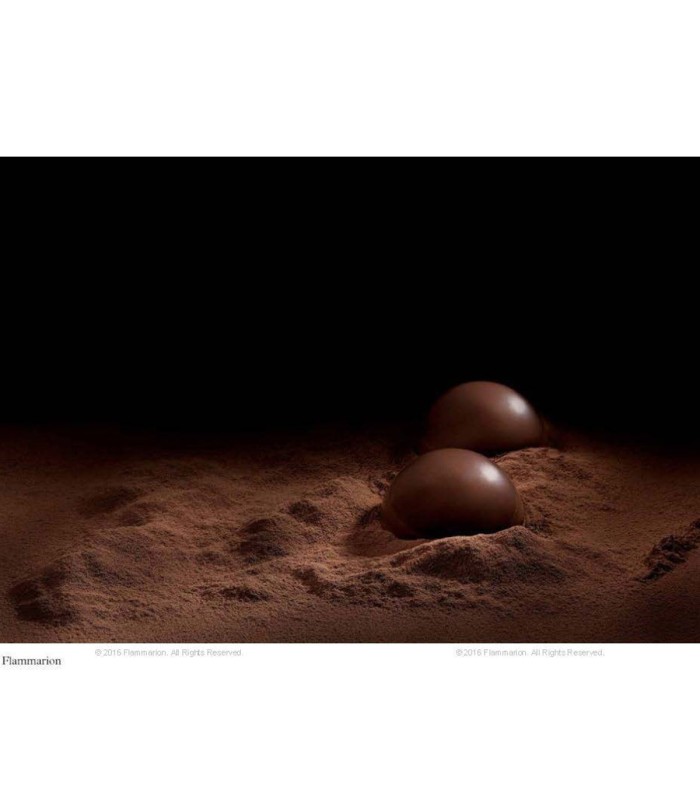 Pierre Herme: Chocolate