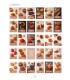 Bachour - The New Era of Viennoiserie