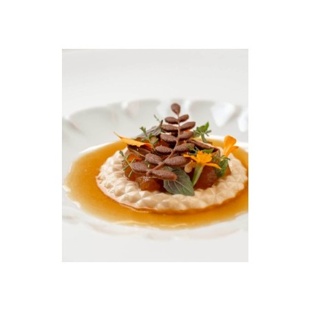Nordic Chefs Sylvara Tuile silicone mold