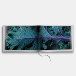Food & Drink: Modernist Cuisine Photography