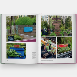 The Kitchen Garden