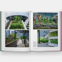 The Kitchen Garden