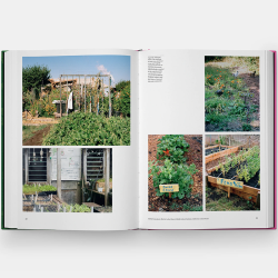 The Kitchen Garden