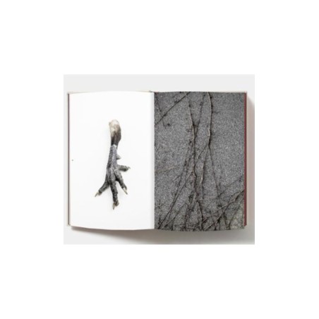 Cookbookstore - Montagud -Anima