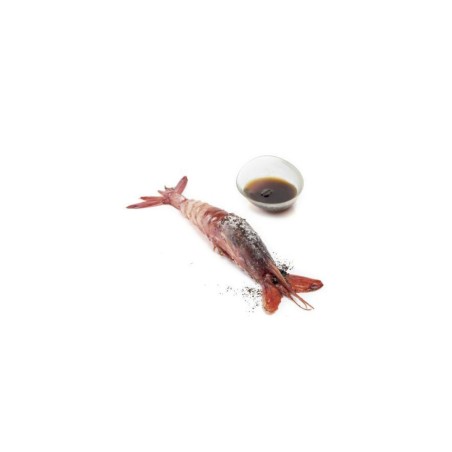 Cookbookstore -Montagud - Cooking Coffee Albert Adria