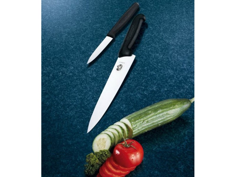 Victorinox Fibrox